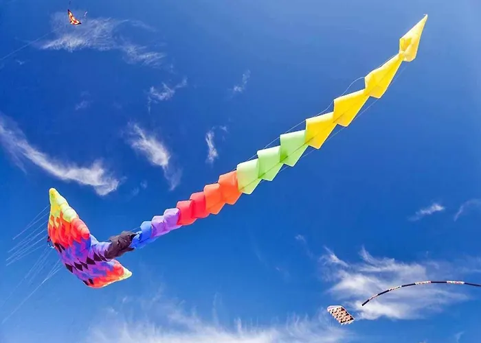 A Cozy House Near The Sea, Łazy